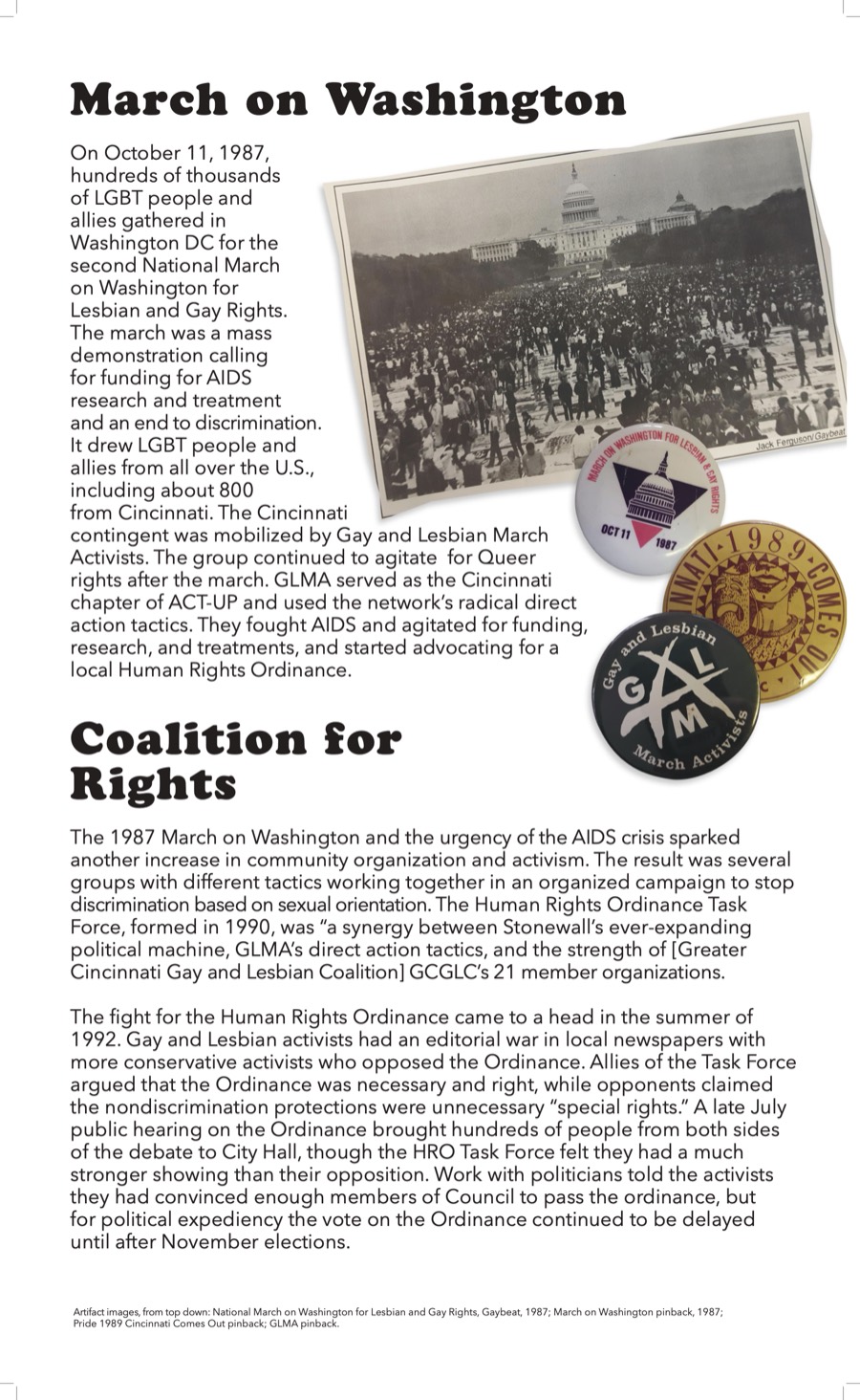 Vibrant Kin panel 8: March on Washington